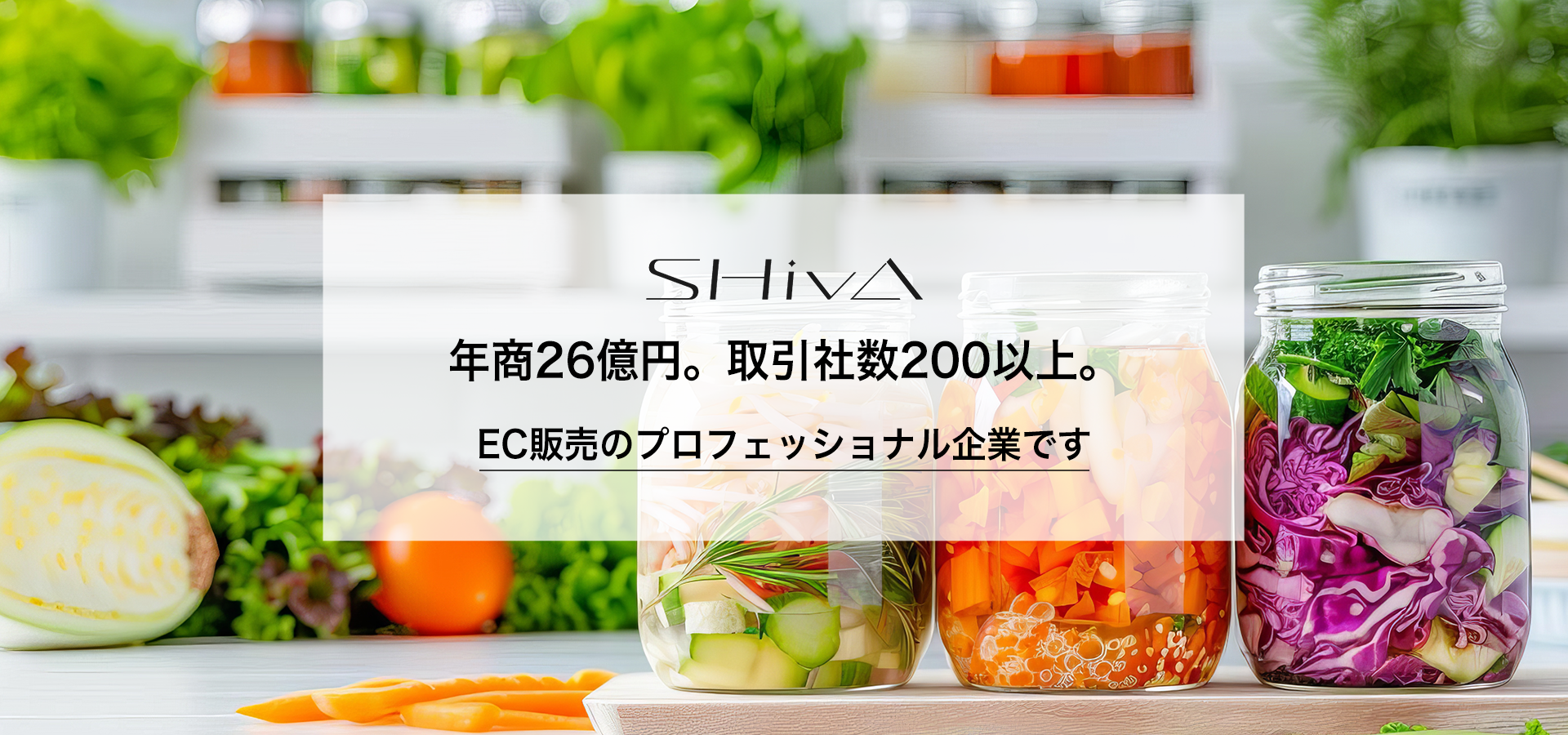 SHivA株式会社MV2